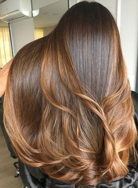 Golden Brown Balayage Hair, Dark Blonde Hair With Caramel Highlights, Copper Balayage Dark Hair, Light Brown Balayage Hair Caramel, Warm Brunette Balayage, Fbi Outfit, Toffee Hair Color, Hair Colour Shades, Brown Hair Colour