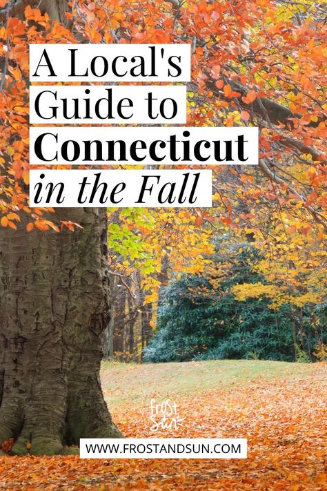 Connecticut Fashion, Things To Do In New Haven Ct, Things To Do In Connecticut, Fall Connecticut, Connecticut Fall Trip, Things To Do In Connecticut Fall, Connecticut Fall, Places To Visit In Connecticut, Connecticut In The Fall