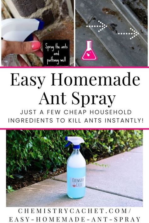 Any Spray Diy, Diy Any Killer Indoor, Homemade Bug Spray For Home, Ant Spray Diy Homemade Essential Oils, Diy Ant Spray Outdoor, Ant Spray Diy Homemade How To Get Rid, Any Killer Diy, Natural Ant Killer For Home, Pet Safe Ant Killer Indoor