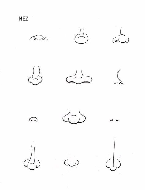 Cartoon Noses Drawing, Cartoon Noses, Caricature Tutorial, رسم كاريكاتير, How To Doodle, Drawing Cartoon Faces, Cartoon Style Drawing, Photoshop Design Ideas, Nose Drawing