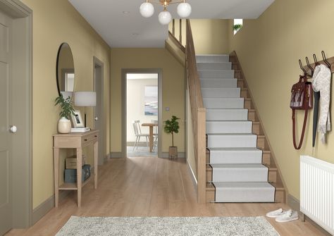 Hallway Colour Schemes, Painted Hallway, Hallway Paint Colors, Dulux Paint Colours, Hallway Paint, Hallway Colours, Dulux Paint, Painted Ceiling, Hallway Decorating