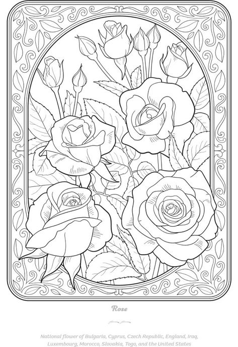 Garden Colouring Pages, Black And White Reference, Zen Coloring Pages, Dover Coloring Pages, Dover Publications Coloring, Plastic Spoon Crafts, Card Making Flowers, Marjorie Sarnat, Garden Coloring Pages