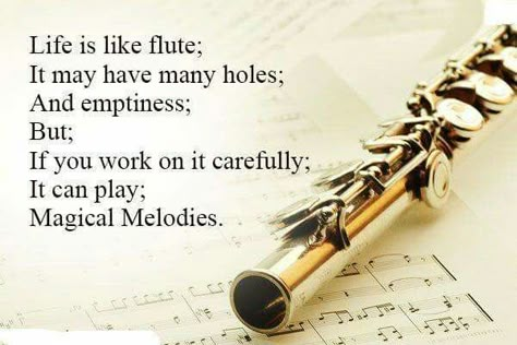 Flute Jokes, Flute Quotes, Marching Band Jokes, Musician Humor, Marching Band Humor, Band Jokes, Band Quotes, Music Jokes, Flute Player