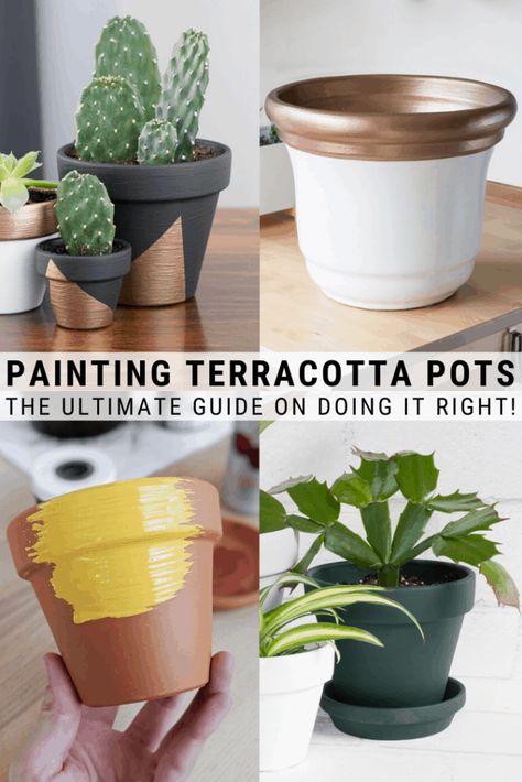 Painting Terracotta Pots, Paint Terracotta Pots, Painting Planters, Paint Terracotta, Diy Planters Pots, Painted Planters, Painting Pots, Pot Diy, Plant Pot Design