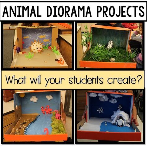 animal diorama projects Animal Habitats Kindergarten, Animal Diorama, Endangered Animals Project, Animal Research Project, Habitat Activities, Habitat Project, Diorama Kids, Habitats Projects, Zoo Project