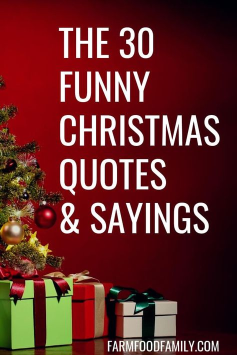 30+ Funny Christmas Quotes & Sayings That Make You Laugh Holiday Work Quotes Funny, Silly Christmas Quotes, Sassy Christmas Quotes, Snarky Christmas Quotes, Xmas Quotes Funny, Funny Christmas Quotes Humor, Short Funny Christmas Quotes, Sarcastic Christmas Quotes, Funny Christmas Signs