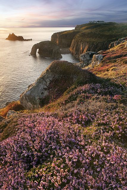 Lands - End, Cornwall Blush