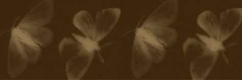 Brown Aesthetic Header, Aesthetic Twitter Banner, Brown Twitter Header, Long Widget Aesthetic, Brown Homescreen, Brown Banner, Discord Banner Ideas, Twitter Header Image, Butterfly Gif