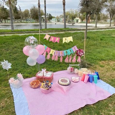 Birthday Decorations Picnic, Picnics Birthday Ideas, Picnic Birthday Decorations, 18th Birthday Party Ideas Picnic, Birthday Picnic Decor, Cute Picnic Birthday Ideas, Picnic Theme Party Decorations, Picnic Bday Party Ideas Simple, Picnic Party Ideas Decorations