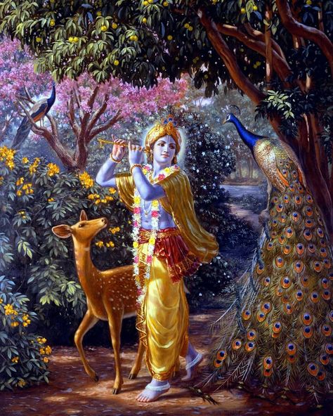 "When all the animals and trees and plants, either on the top of Govardhana Hill or in the valley, see the dancing of the peacocks, they… Wallpaper Radha Krishna, Krishna Avatar, Krishna Flute, Little Krishna, Radha Painting, Lord Krishna Hd Wallpaper, Radha Krishna Wallpaper, Vedic Art, Lord Krishna Wallpapers