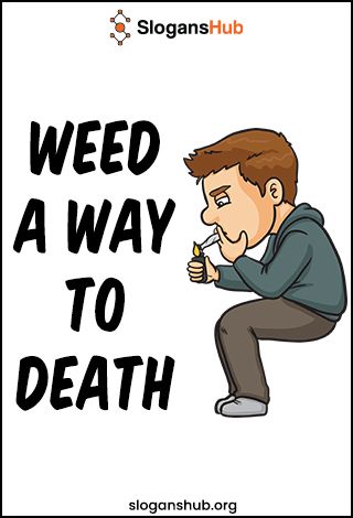 Anti Weed Slogans and Sayings for anti-weed awareness campaigns and to help those who want to quit weed use. Feel free to use these slogans in anti-weed campaigns and don’t forget to share them with your friends. Slogan Ideas, Mental Health Advocacy, Business Slogans, Environmental Conservation, Awareness Campaign, Workout Pictures, Making A Difference, Thought Provoking, I Cant