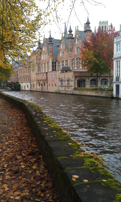 Brugge Belgium, Belgium Travel, City Aesthetic, Krakow, Beautiful Places To Visit, Pretty Places, Favorite City, Travel Inspo, Places Around The World