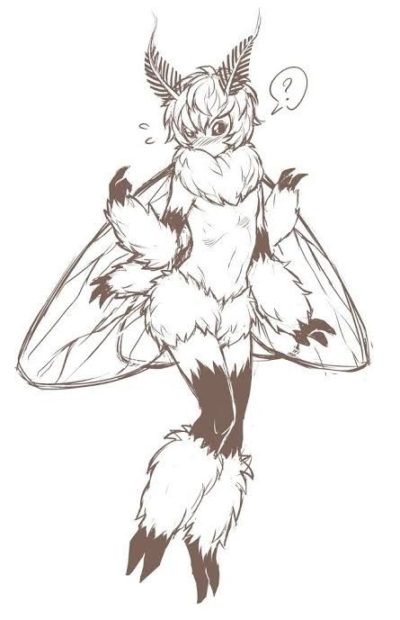 Cute Moth, Moth Art, Fantasy Creatures Art, Arte Inspo, Mythical Creatures Art, Monster Girls, Creature Concept Art, Creature Concept, Monster Girl