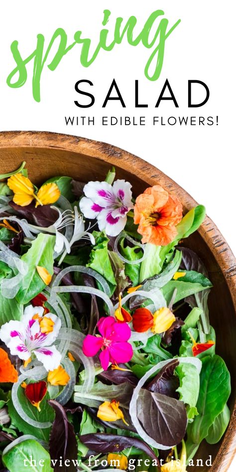 Spring Salad with Edible Flowers ~ I'll show you how to identify, source, and use edible flowers to make this gorgeous celebratory salad for any occasion! #spring #salad #flowers #recipe #healthy Potato Salad Instant Pot, Mexican Potato Salad, Crab Stuffed Avocado, Flowers Recipes, Cottage Cheese Salad, Island Recipes, Spring Mix Salad, Crab Salad Recipe, Edible Flowers Recipes