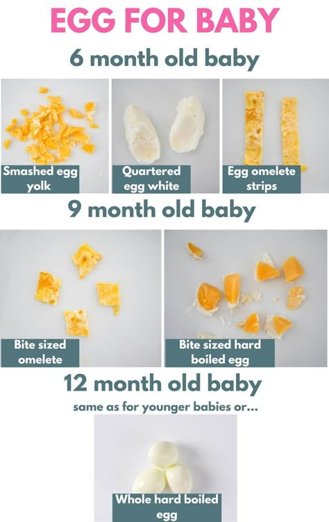 Infant Led Weaning, Baby Led Weaning First Foods No Teeth, Blw Eggs 6 Months, How To Cut Food For Baby Led Weaning, Solid Foods For 9 Month Old, Baby Led Weaning First Foods 6 Months Meal Ideas, Baby Led Weaning Breakfast 6 Months, How To Serve Eggs To 6 Month Old, Eggs For Baby 6 Months