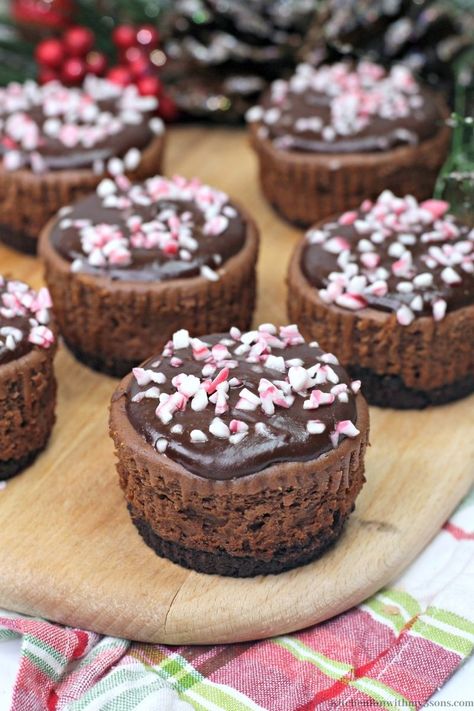 Chocolate Peppermint Cheesecake, Peppermint Dessert, Cheesecake Bites Recipe, Peppermint Cheesecake, Mini Cheesecake Recipes, Holiday Desserts Table, Chocolate Chip Cheesecake, Chocolate Crust, Kitchen Fun