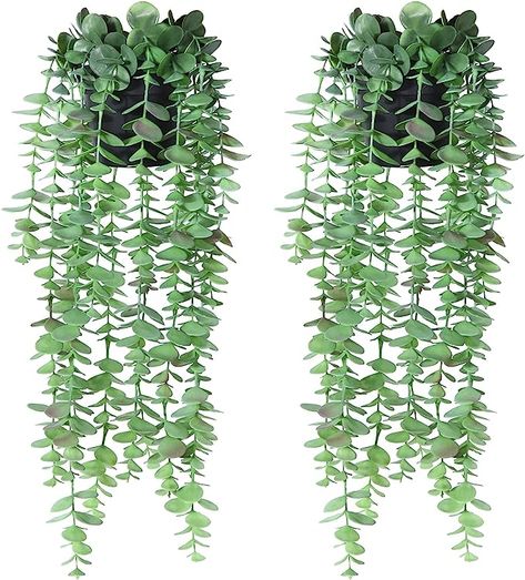 45cm Small Fake Potted Hanging Eucalyptus Plants with 15 Vines, Faux Hanging Planter Greenery Indoor Outdoor for Shelf Wall Aesthetic Decor(Set of 2) Hanging Eucalyptus, Fake Potted Plants, Hanging Plants Outdoor, Fake Hanging Plants, Plant Display Ideas, Indoor Plant Wall, Artificial Hanging Plants, Faux Eucalyptus, Artificial Plant Wall