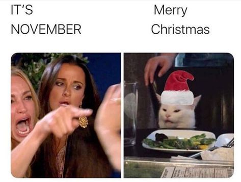 woman yelling at a cat meme where Taylor Armstrong is yelling 'it's november' and smudge the cat is wearing a christmas hat and meowing 'merry christmas' Funny Merry Christmas Memes, Merry Christmas Meme, Smudge The Cat, Woman Yelling At Cat, Woman Yelling, Christmas Meme, Christmas Memes Funny, November Quotes, November Christmas