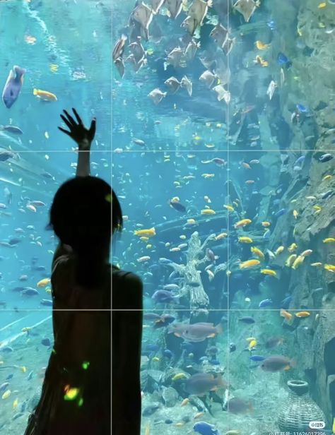 Aquarium Photos, Aquarium Pictures, Japan Itinerary, Water Aesthetic, The Aquarium, Japan Aesthetic, Pose Reference Photo, Photo Reference, Drawing Reference Poses