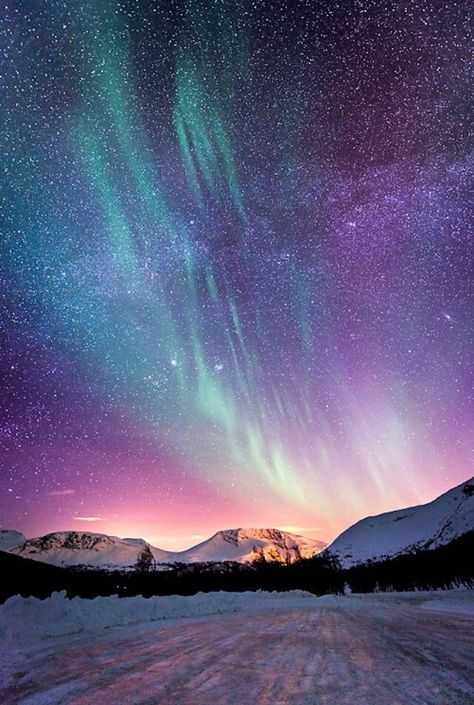 Aurora Lights, Photography Inspiration Nature, Futurisme Retro, Southern Lights, Aurora Borealis Northern Lights, The Northern Lights, Beautiful Sky, The Night Sky, Aurora Borealis