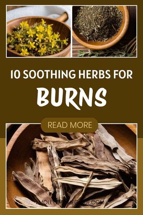 Discover the power of herbs for burns with a herbal burn salve! Find natural healing for burns using medicinal herbs like calendula, which can help treat and relief burns effectively. With herbal salves for burns in your herbal first aid kit, you can manage burns naturally and promote gentle healing. Herbs for burns and scrapes are a great alternative to traditional remedies. Embrace the soothing properties of herbs to alleviate discomfort from minor injuries. Healing Herbs Medicine, Herbalist Remedies, Burn Salve, Homemade Shower Gel, Herbal First Aid Kit, Balms And Salves, Properties Of Herbs, Medicinal Herbs Remedies, Herbal First Aid