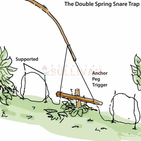 Survival Traps, Family Emergency Binder, Spring Trap, Camping Gear Survival, Doomsday Survival, Animal Traps, Survival Books, Bush Craft, Survival Skills Life Hacks