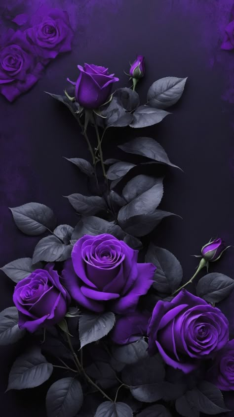 Deep Purple Asthetics Wallpaper, Hd Wallpaper Iphone Purple, Purple Baground, Purple Roses Aesthetic, Purple Dark Background, Wallpaper Backgrounds Dark Beautiful, Purple Rose Wallpaper, Dark Purple Aesthetic Wallpaper, Purple And Black Wallpaper