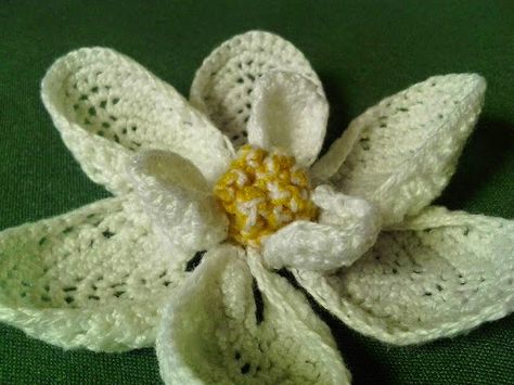 Free Pattern: crochet; Magnolia Bloom Crochet Magnolia, Crochet Flower Free Pattern, Crochet Blanket Lace, Yarn Flowers, Crochet Cactus, Craft Flowers, Crochet Bouquet, Flowers Crochet, Crocheted Flowers