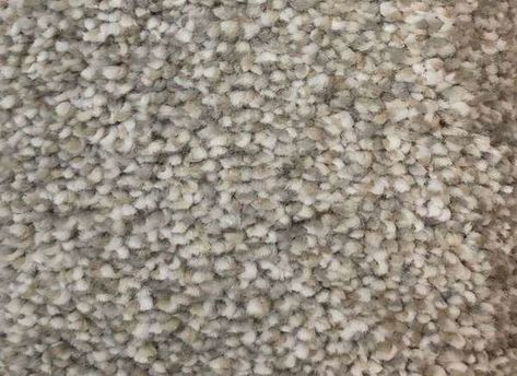 Best Carpet Colors: Abbey by Home Decorators Collection Grey Beige Carpet, What Color Carpet Goes With Gray Walls, Carpet Colors With Gray Walls, Wall To Wall Carpet Ideas, Bedroom Carpet Colors, Choosing Carpet, Home Depot Carpet, Mohawk Carpet, Basement Carpet