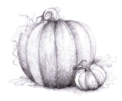 Pumpkin Drawing Ideas, Drawing Cross, Pumpkin Sketch, Pumpkin Vine, Pumpkin Tattoo, Pumpkin Drawing, Daughter Tattoo, Shading Techniques, Pumpkin Carving Templates