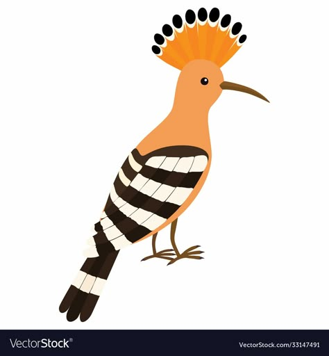 Hoopoe Bird Drawing, Hoopoe Illustration, Folk Bird, Hoopoe Bird, Bird Vector, Parrots Art, Bird Graphic, Clay Wall Art, Most Beautiful Birds