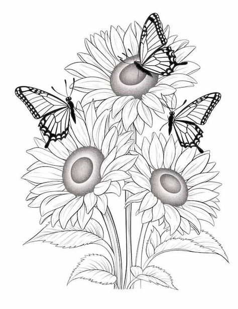 Butterflies and sunflowers printable coloring page Sunflower With Butterfly, Sun Flower Coloring Pages, Butterfly Coloring Pages, Sunflower Coloring Pages Free Printable, Sunflowers And Butterflies Drawing, Butterfly Pictures To Color, Buterfluffy Coloring Pages, Butterfly Coloring Pages For Adults, Sunflower Butterfly Svg