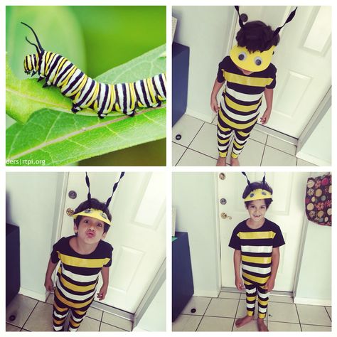 Monarch caterpillar ! Costume project !! Hand made                              … Diy Insect Costume, Beetle Costume Diy, Monarch Caterpillar Costume, Bug Dress Up, Insect Costume Diy Easy, Diy Caterpillar Costume, Blue Caterpillar Costume, Caterpillar Costume Diy, Insect Fancy Dress