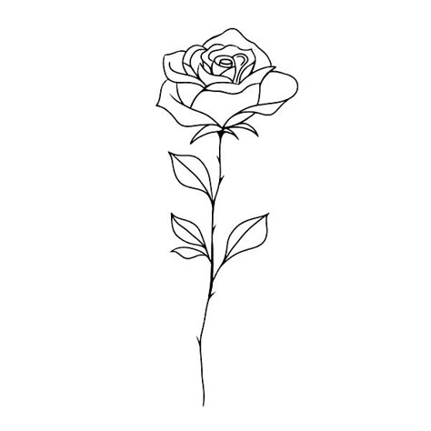 Rose And Stem Tattoo Design, Rose Tattoo Template, Spine Tattoos For Women Western, Rose Outline Tattoo, Tattoo Locations, E Tattoos, Simple Rose Tattoo, Tattoo Templates, Draw Flowers