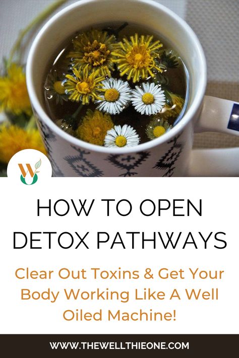 How to Open Detox Pathways – Clear Out Toxins & Get Your Body Working Like A Well Oiled Machine! Detox Pathways, Water Infusion, Colon Cleanse Recipe, Feeling Sluggish, Detox Supplements, Cleaning Your Colon, Parasite Cleanse, Cleanse Your Body, Colon Cleanse