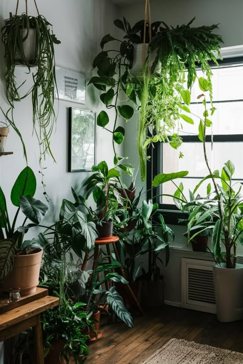 Step inside a stunning urban jungle apartment filled with vibrant indoor plants. Discover how to style greenery in your home while creating a cozy, nature-inspired retreat. #UrbanJungle #ApartmentDecor #IndoorPlants #NatureInspiredLiving #GreenApartment #CozyRetreat #PlantStyling #UrbanLiving #HomeInspo #GreenLivingSpaces House Plant Jungle, Plant Vibes Aesthetic, Home Plants Aesthetic, Plant Lady Aesthetic, Jungle Apartment, House Plants Aesthetic, Cozy Nature, Home Jungle, Indoor Plant Ideas