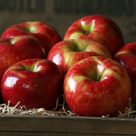 Honeycrisp Apple, Fruit Company, Apple 7, Honeycrisp Apples, Fruit Gifts, Gourmet Gift Baskets, Health Ideas, Hood River, Apple Fruit