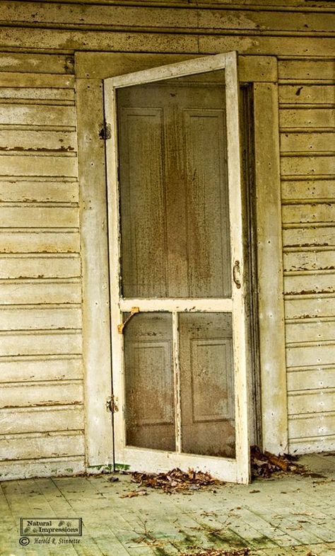 Coloradolady: Screen Doors......Old Screen Doors Old Screen Door Ideas, Screen Door Ideas, Vintage Screen Doors, Old Screen Doors, Wooden Screen Door, Wooden Screen, Screen Doors, Wooden Gates, Peeling Paint