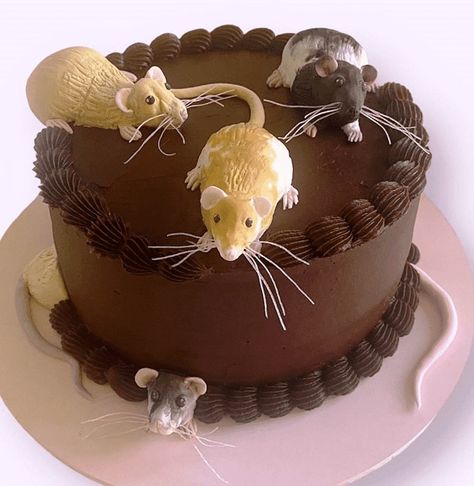 Rat Birthday Cake Ideas Images (Pictures) Rat Party Decorations, Rat Cakes Birthday, Rat Cakes, Mouse Cake Ideas, Ugly Cakes, Realistic Cakes, Baker Cake, Cake Mix Cookie Recipes, Cool Cake Designs