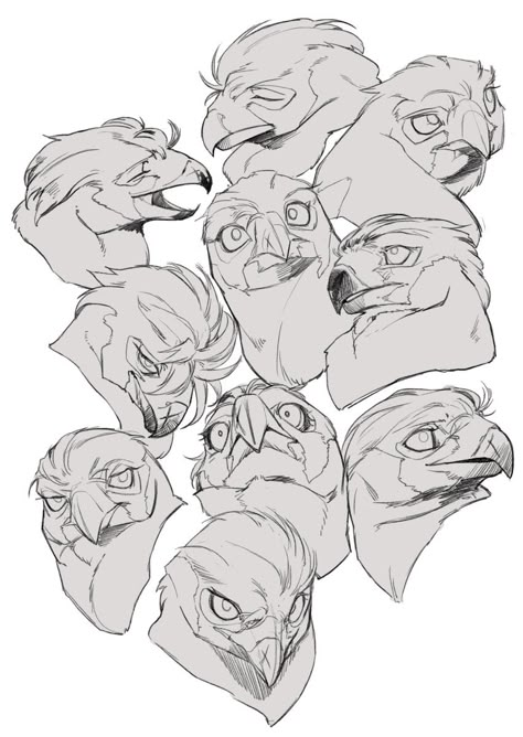 Cat Memes Laughing, Animal Anatomy, Creature Concept Art, Animal Sketches, Arte Fantasy, Bird Drawings, Character Design References, Facial Expressions, Drawing Reference Poses