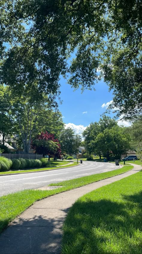 heart, hidden heart, green trees, paradise, nature, beautiful, sky Outside Asethic, Los Angeles California Photography, Suburban Landscape, Cute Background For Zepeto, Colorado Aesthetic, Life In Usa, La Aesthetic, Travel Instagram Ideas, Canada Pictures