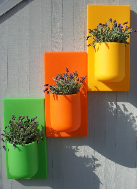 Wall Pots, Hanging Wall Planters, Hanging Herbs, Vertical Garden Design, Colorful Planters, Plastic Bottle Flowers, نباتات منزلية, Upcycle Garden, Flower Pot Design