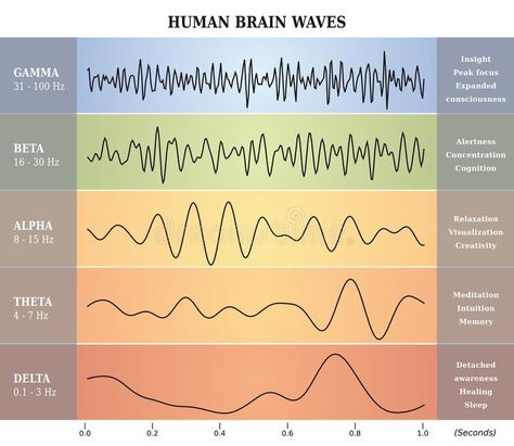 Neurofeedback Therapy, Operant Conditioning, Brain Mapping, Brain Scan, Diagram Chart, Behavior Disorder, Brain Activities, Brain Waves, Human Brain