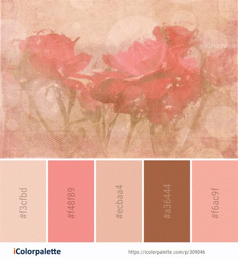 Reddish Pink Color Palette, Tea Rose Color Palette, Princess Core Color Palette, Pink Fall Palette, Pink Aesthetic Color Pallete, Love Core Color Palette, Ballet Pink Color Palette, Ballerina Color Palette, Pink Rose Color Palette