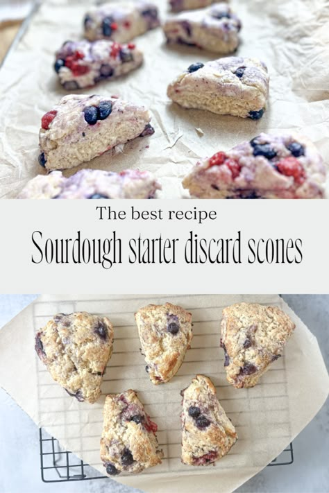 Sourdough Discard Cranberry Scones, Sourdough Discard Apple Scones, Sourdough Discard Raspberry Scones, Sourdough Discard Recipes Scones, Sourdough Raspberry Scones, Sourdough Discard Scones Recipes, Sourdough Scones Recipe, Sourdough Discard Scones, Discard Scones