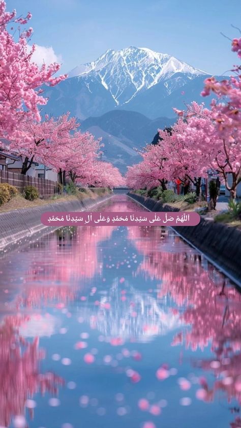 Spring Blossom Aesthetic, Cherry Blossom Japan Photography, Coolest Backgrounds, Cherry Blossoms Aesthetic, Blossoms Aesthetic, Aesthetic Instagram Stories Template, Cherry Blossom Photography, Cherry Blossom Aesthetic, Blossom Aesthetic