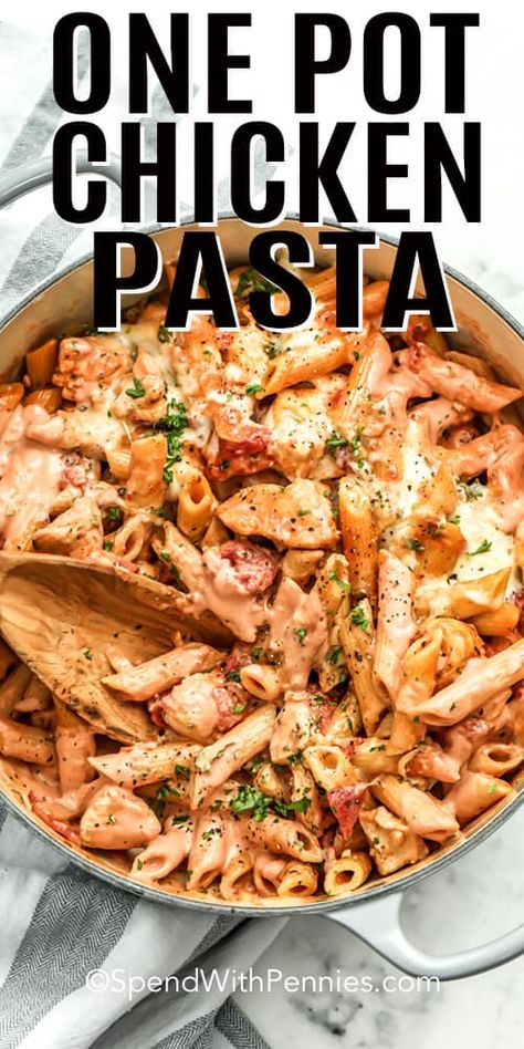 One Pot Pasta Meals, One Pot Chicken Pasta, Pasta Alfredo Receta, Pasta A La Carbonara, Resep Pasta, Pasta With Chicken, Cheese And Tomato, Recipes Savory, Pasta Meals