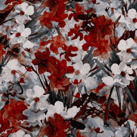 Red And White Japanese Aesthetic, White Red Black Aesthetic, Red And White Flowers Aesthetic, Silver And Red Aesthetic, Chinese Red Aesthetic, Gray And Red Aesthetic, Red Chinese Aesthetic, Cherry Core Aesthetics, Red Soft Aesthetic