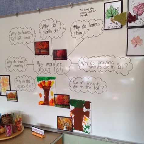 Inquiring Minds: Mrs. Myers' Kindergarten: The Autumn Season: Exploring Trees and Leaves and the Colors of Fall! Project Based Learning Kindergarten, Kindergarten October, Kindergarten Inquiry, Inquiry Project, Wonder Wall, Emergent Curriculum, Science Inquiry, Inquiry Learning, About Trees