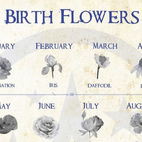 Wicca Academy on Instagram: "Birth flowers are symbolic of the month we were born, and each one has its significance. January Birth Flower- Carnation= dedication & love February Birth Flower– Iris= loyalty, humility, and spiritual wisdom March Birth Flower– Daffodil= prosperity, good luck, and optimism April Birth Flower– Daisy= innocence, loyalty, and transformation May Birth Flower– Hawthorn= humility, sweetness, happiness June Birth Flower– Rose= love, and its meaning can vary depending on its color. July Birth Flower- Water Lilies=open-minded and symbolize health August Birth Flower- poppy= strength, integrity and infatuation September Birth Flower- Morning Glory= unrequited love, strength and resilience. October Birth Flower- Cosmos= harmony and balance, tranquility, innocence Novembe Birth Symbols, February Birth Flower, March Birth Flower, May Birth Flower, My Moon Sign, October Birth Flowers, September Birth Flower, July Birth Flower, March Birth Flowers